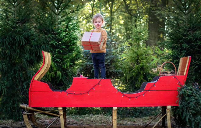 Mini sesja świateczna w Warszawie